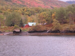 Autumn in Amook Pass
