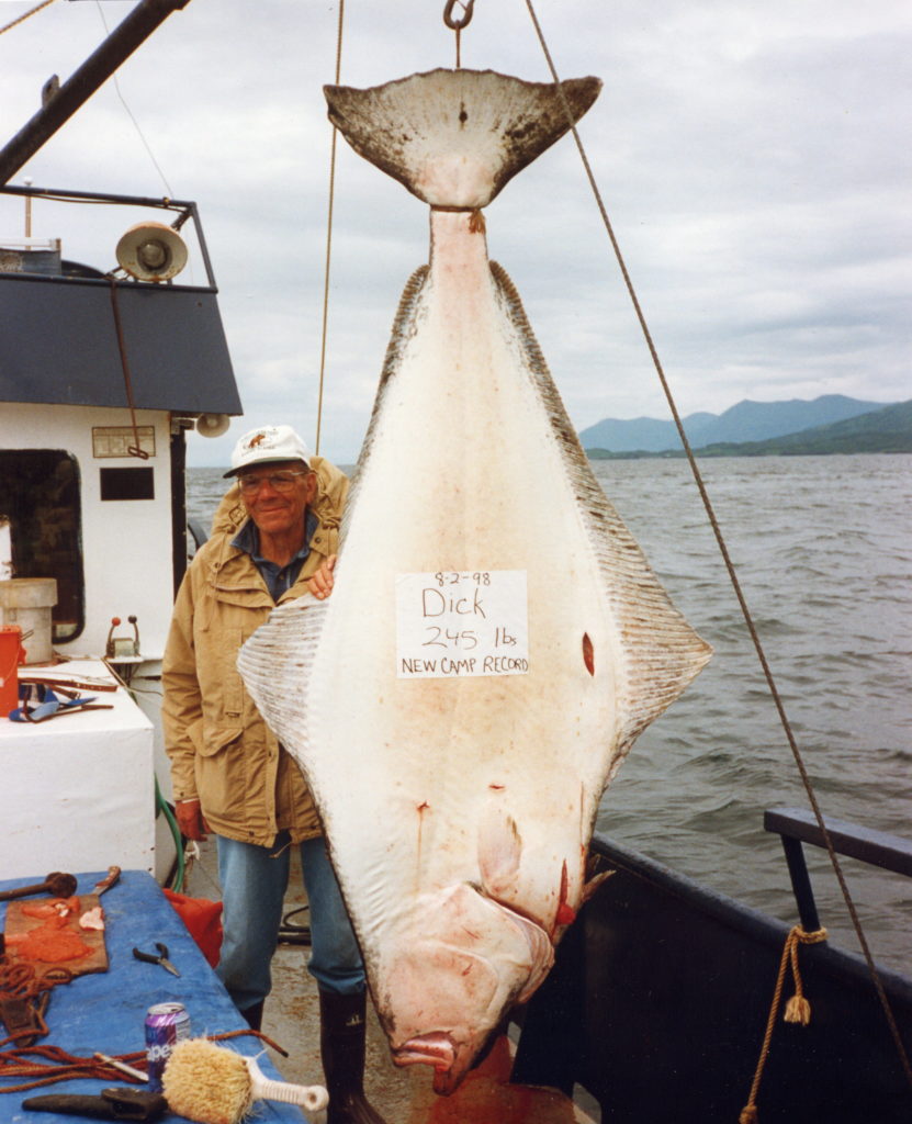 Pacific Halibut (Hippoglossus stenolepis) - Robin Barefield